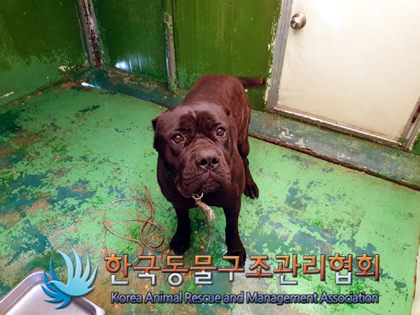 종료(반환) 케인 …